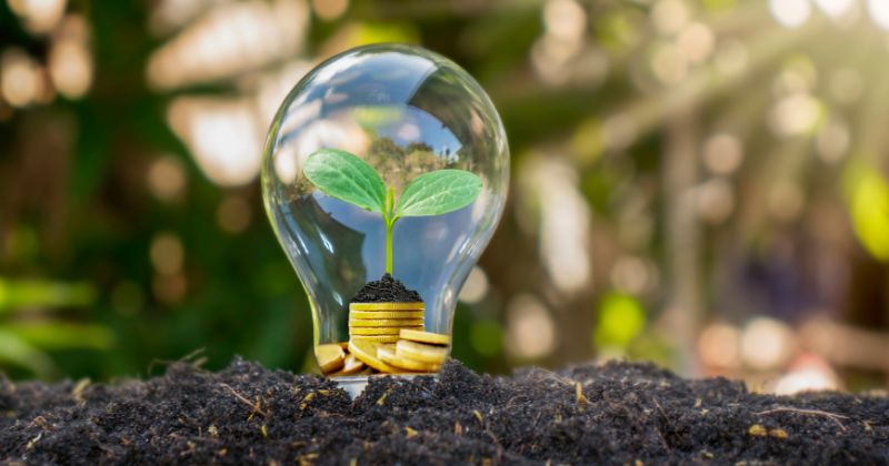 Light bulb with a green leaf planted in soil, representing an energy saver.