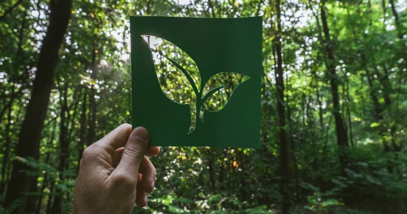 An eco-friendly cut-out leaf set against a forest backdrop, symbolizing sustainable practices and highlighting an alternative to gas boilers.