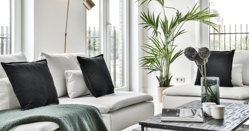 An elegantly styled living room in pristine white.